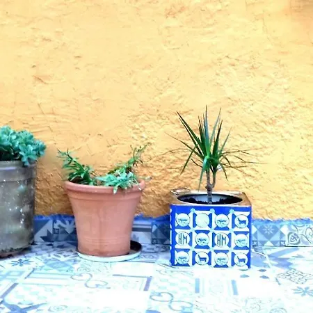 Avali Apartment *