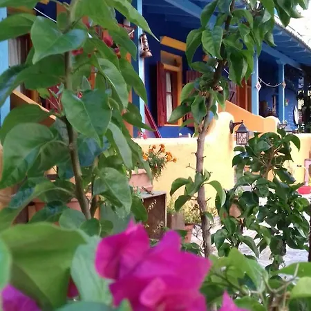 Avali Kalamitsi (Lefkada)